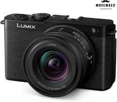 Panasonic Travel Mirrorless Camera